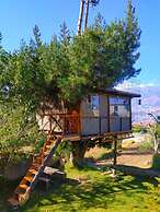 Campo Lago hospedaje