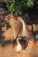 Hotel Familia Casa Blanca