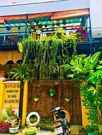 Homestay An Bang Sea Adventure