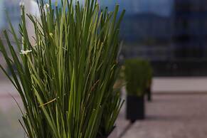 Hotel Kavia Monterrey