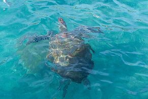 Group Garden Getaway