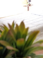 Hug Khieng Khong Nongkhai Hostel