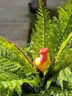 Hug Khieng Khong Nongkhai Hostel