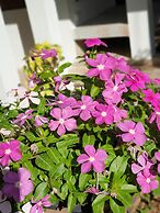 Hug Khieng Khong Nongkhai Hostel