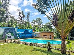 Africa Safari Arusha