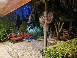 Africa Safari Arusha