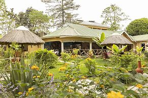 Africa Safari Arusha