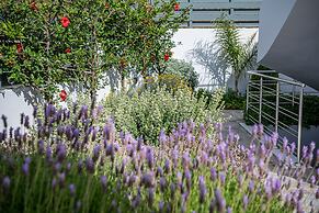 Sunset Elafonisi Apartments