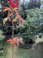 A Place Like Home Apartamenty Wiewiorcza