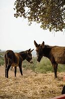 Herdade Vale de Cabras