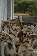 Herdade Vale de Cabras