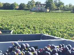 La Maison du Grand Four en Bourgogne, Au coeur de Vignes, Piscine et S