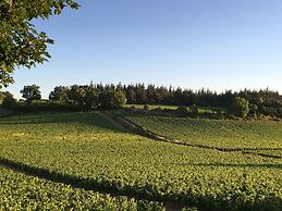 La Maison du Grand Four en Bourgogne, Au coeur de Vignes, Piscine et S