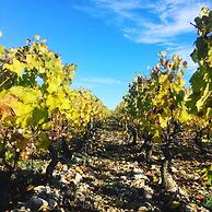 La Maison du Grand Four en Bourgogne, Au coeur de Vignes, Piscine et S