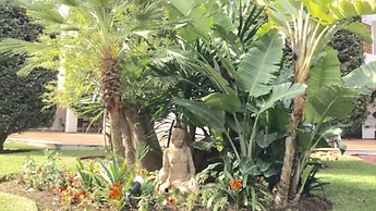 Apartment Mi Capricho 17 Beachfront