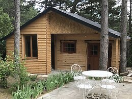 Le Mas de la Pinède