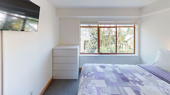 Stoney Creek Northstar-Whistler Premier