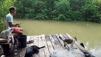 Casa Laguna Studios Apartments