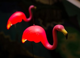 Alabama Hotel Hobart