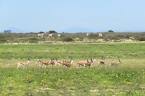 L'Ermitage Quagga Lodge