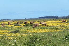 L'Ermitage Quagga Lodge