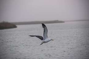 L'Ermitage Quagga Lodge