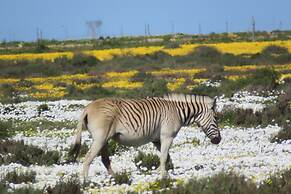 L'Ermitage Quagga Lodge