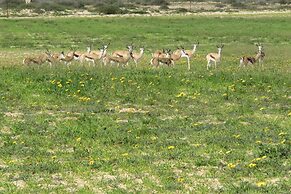 L'Ermitage Quagga Lodge