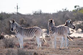L'Ermitage Quagga Lodge