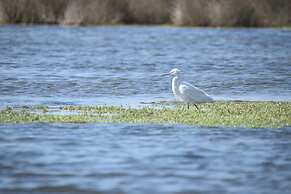 L'Ermitage Quagga Lodge