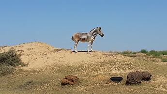 L'Ermitage Quagga Lodge