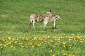 L'Ermitage Quagga Lodge