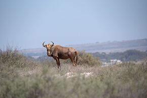 L'Ermitage Quagga Lodge