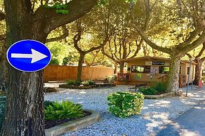 Greenchalets Ameglia - Campsite