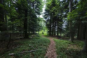 Pohorje Village Wellbeing Resort – Wellness & Spa Hotel Bolfenk