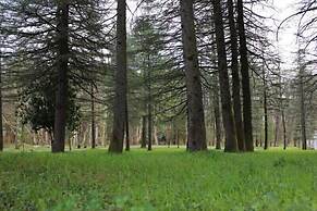 Legends Tskaltubo Spa Resort