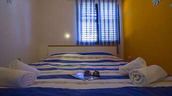 Victorious VIScovery Blue