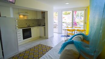 Victorious VIScovery Blue