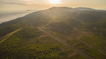 Victorious VIScovery Blue