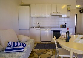 Victorious VIScovery Blue