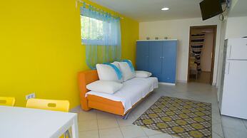 Victorious VIScovery Blue