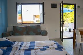 Victorious VIScovery Red