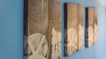 Victorious VIScovery Red