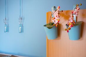 Victorious VIScovery Red