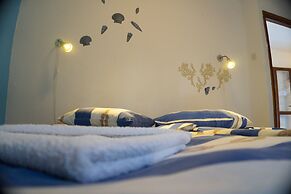 Victorious VIScovery Red