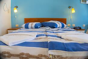 Victorious VIScovery Red