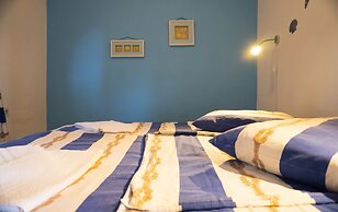 Victorious VIScovery Red