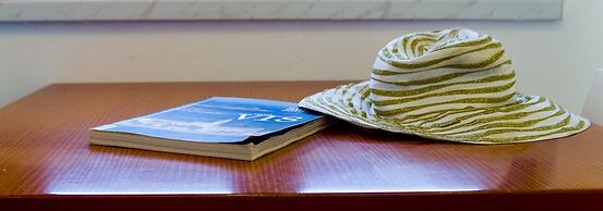 Victorious VIScovery Red