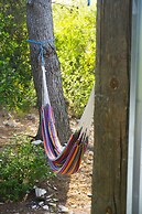 Victorious VIScovery Red