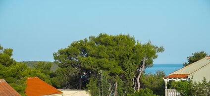 Victorious VIScovery Red